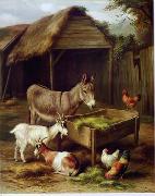 unknow artist Cocks and Sheep 079 oil painting reproduction